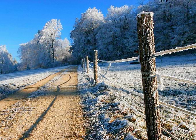 Winter landscape