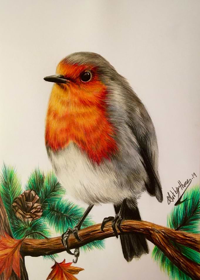 Robin Redbreast