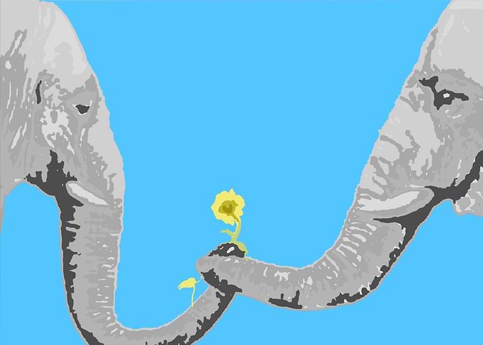 Elephantastic love