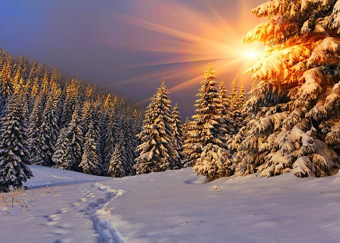 Winter landscape