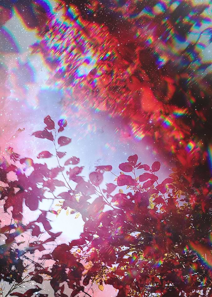 Autumn Leaves