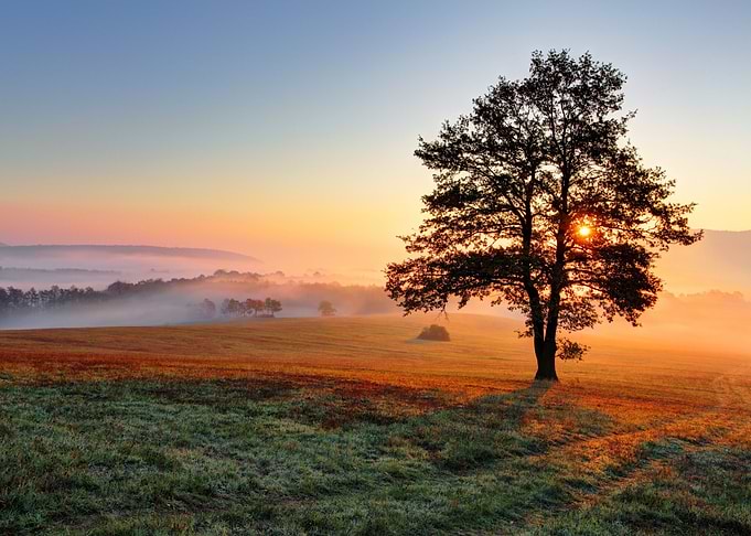 Fields Sunrises