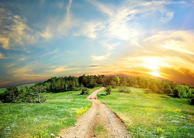 Nature Landscape