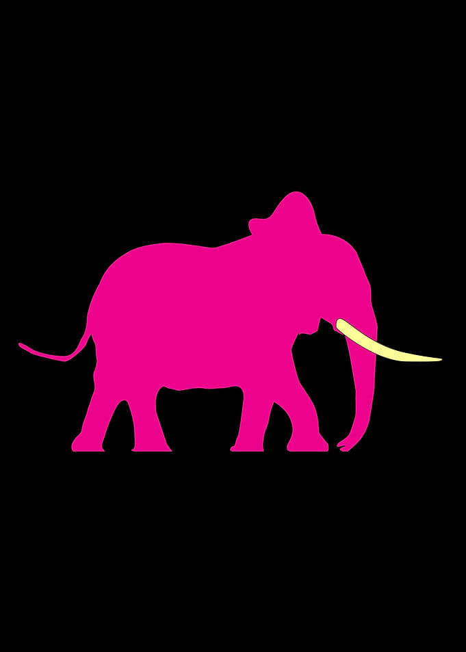 Pink Elephant On Black