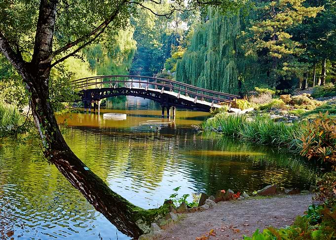 Nature landscape
