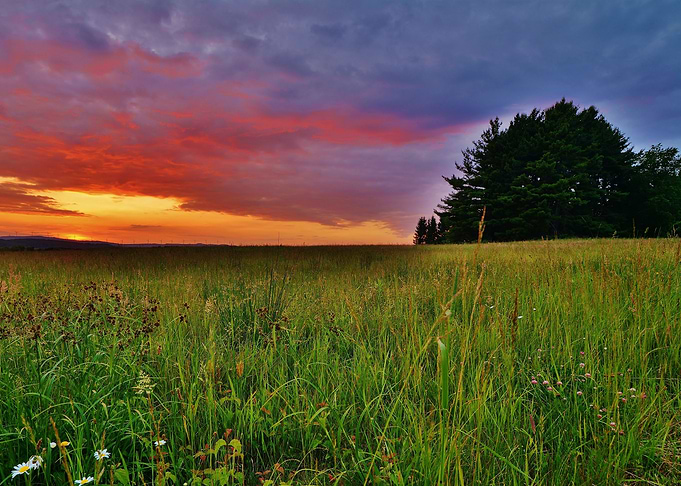 Nature landscape