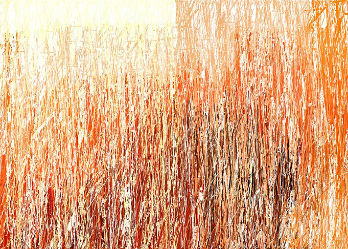 colorful stroke lines