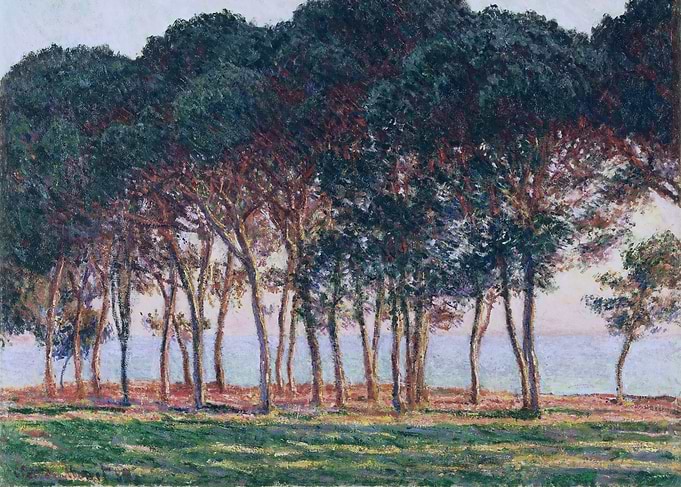 Under the Pine Trees at th