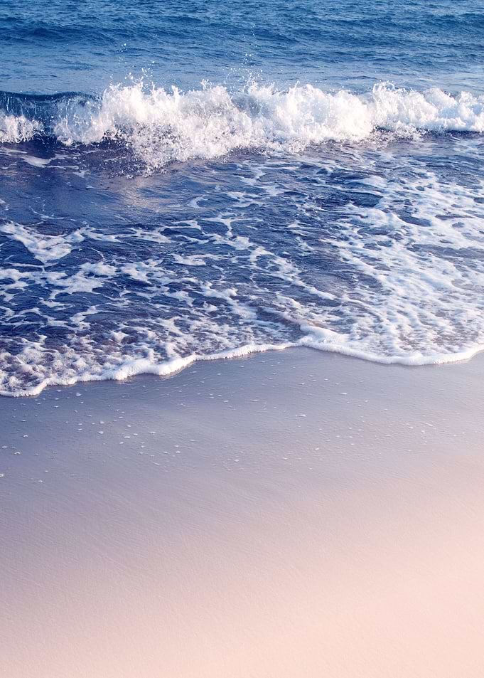 Ocean Beauty Dream 2
