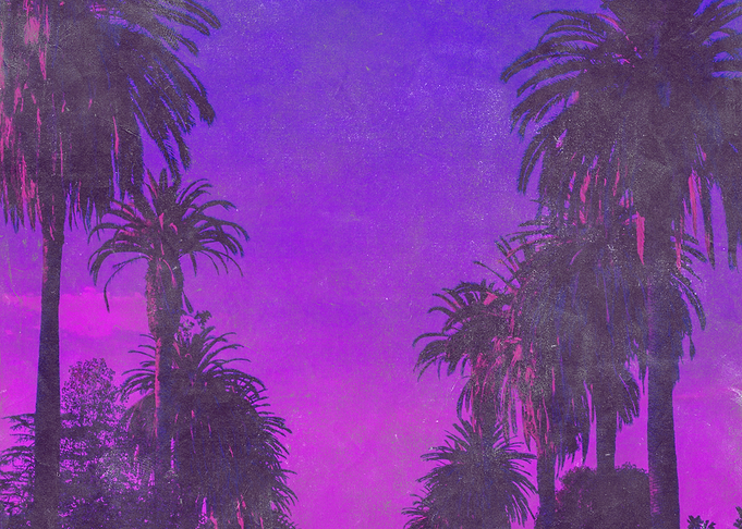 Tropical Palms