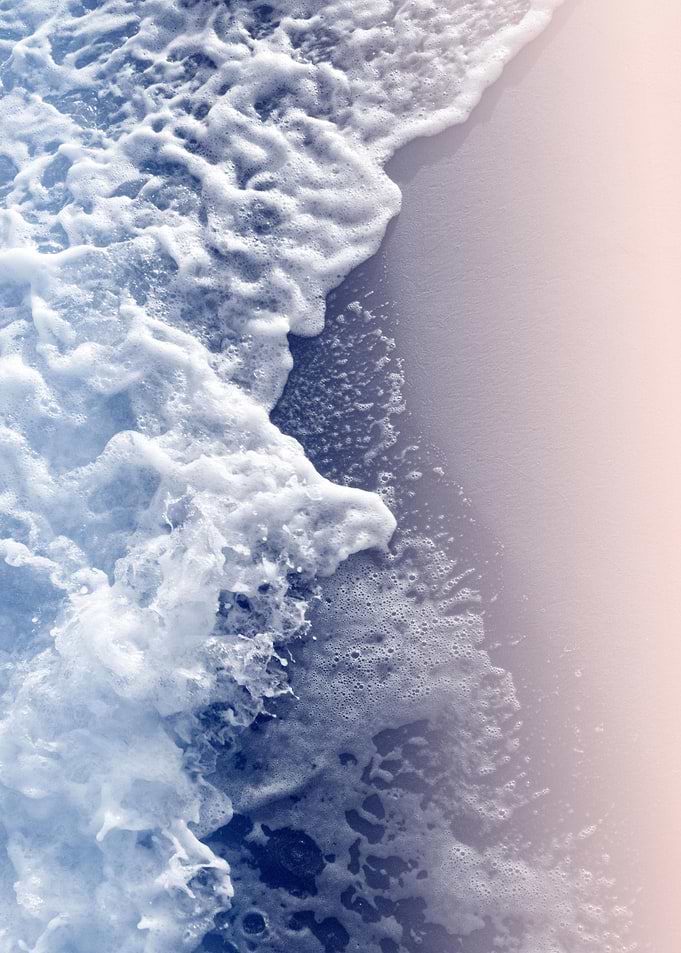Ocean Beauty 3