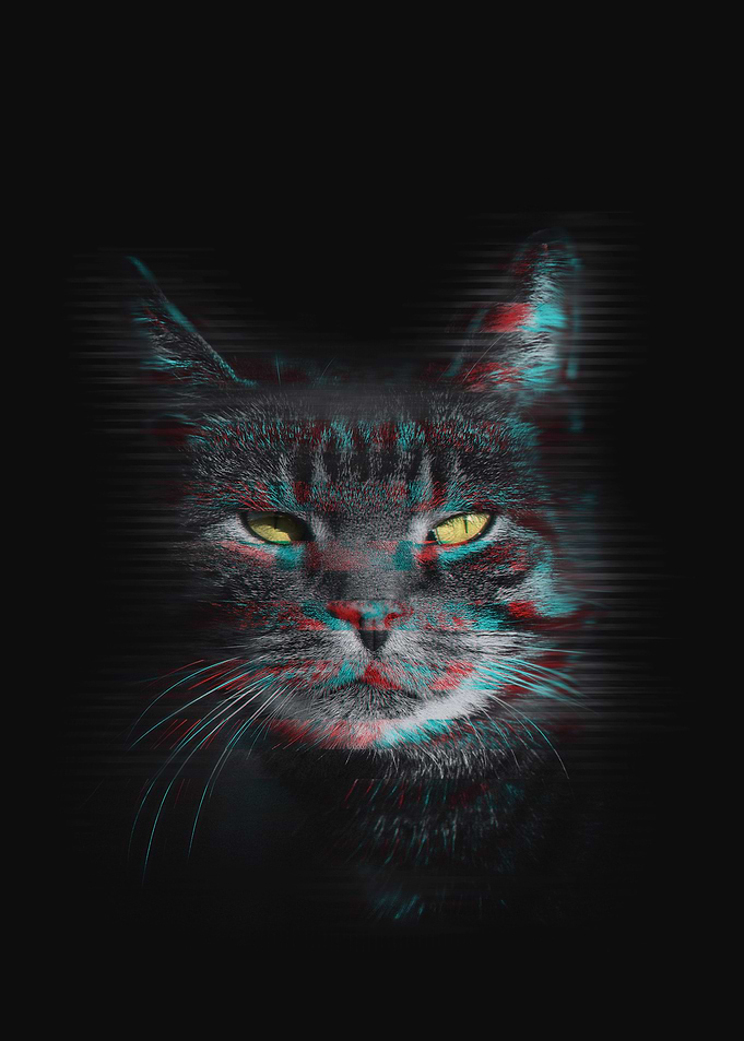 Cato