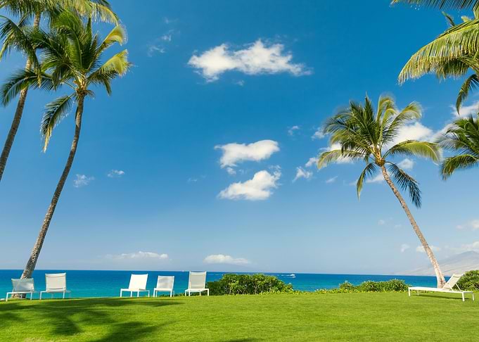 Tropical view