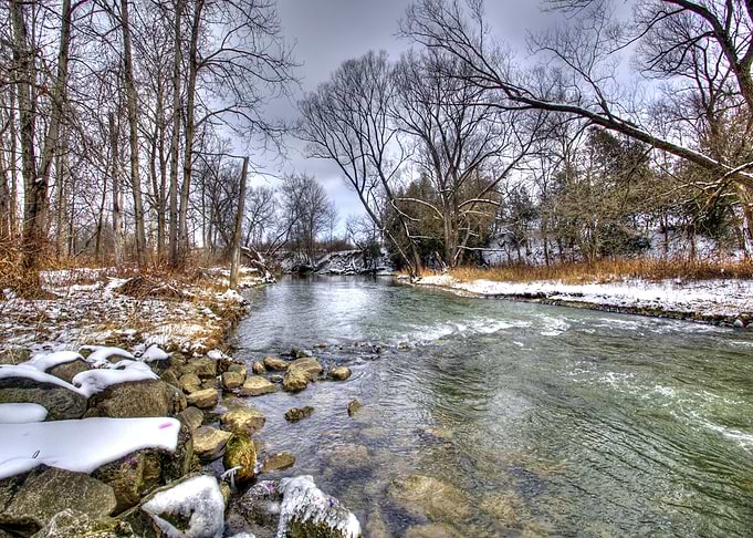 Winter landscape