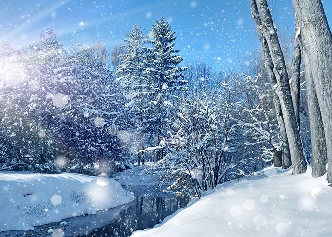 Winter landscape
