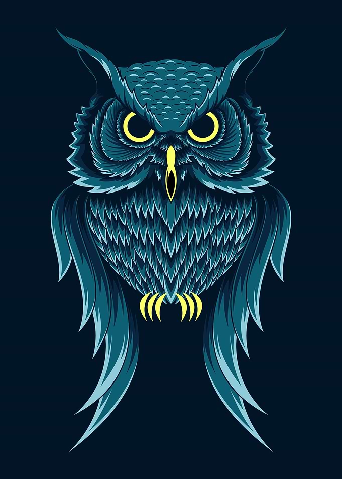 owl