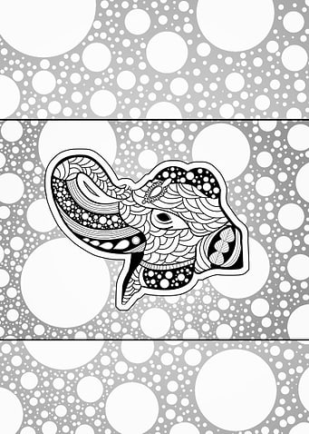 Wonderful elephant