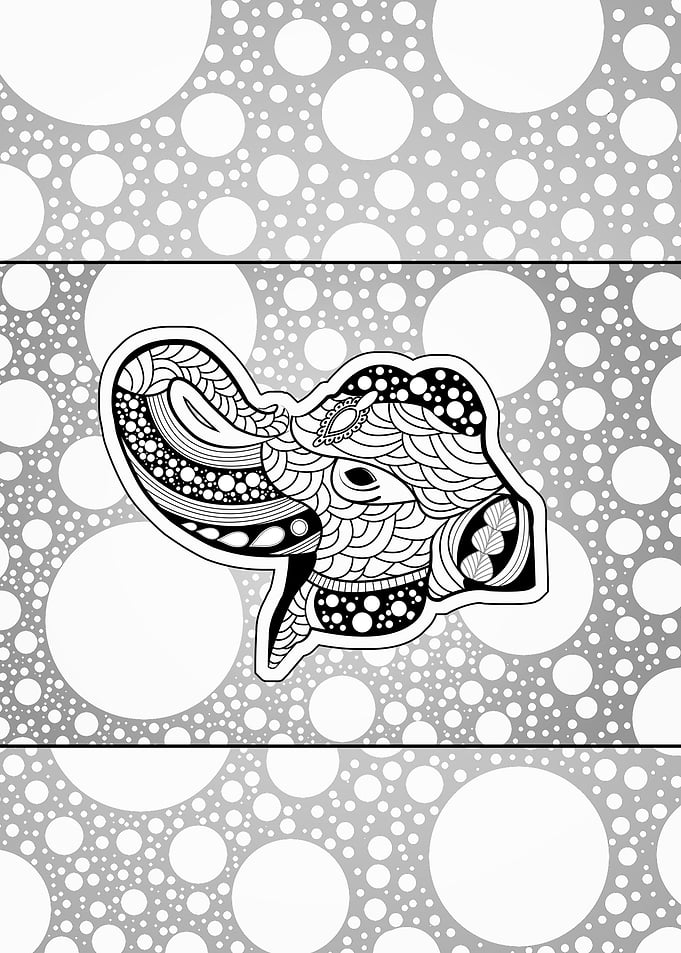 Wonderful elephant