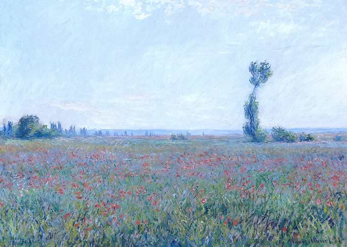 Poppy Field 1881