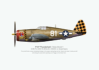 P47 Dallas Blonde