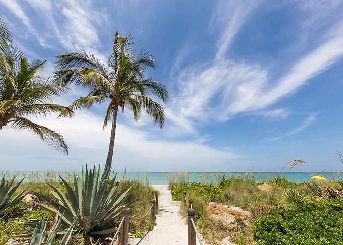 Path to the beach