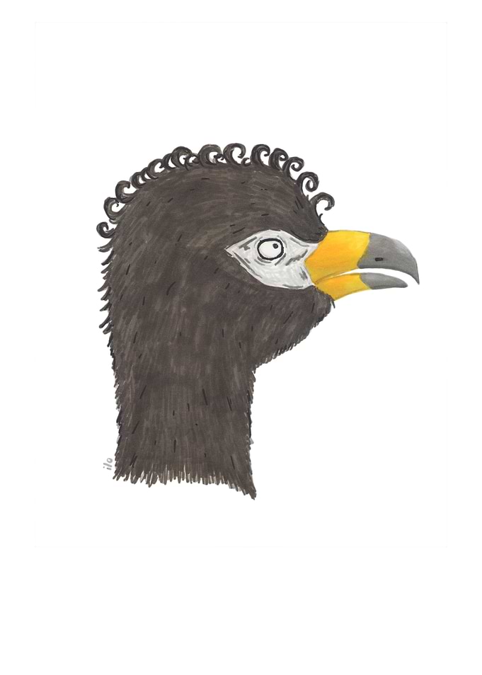 Muitu Bird