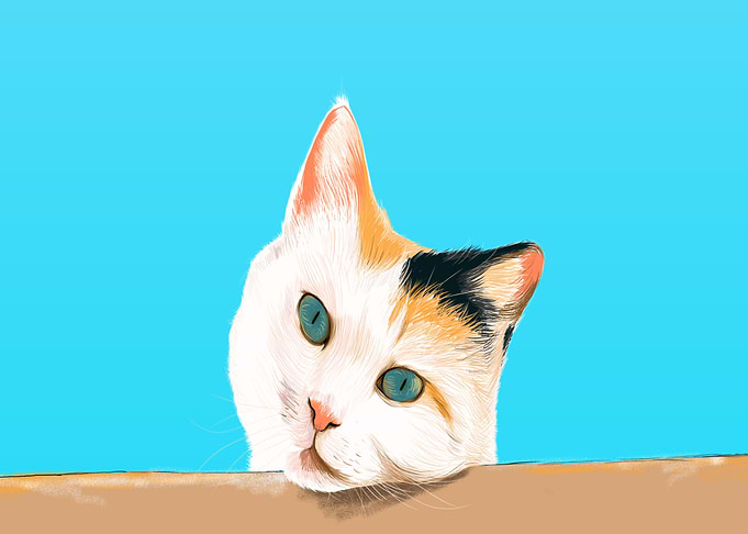 Cat face white