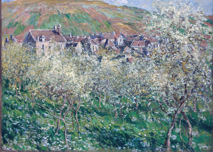 Plum Trees in Blossom at V