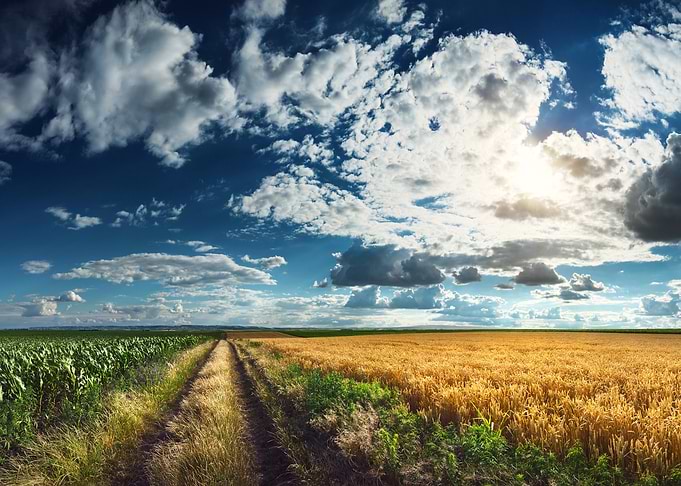 Sky and field