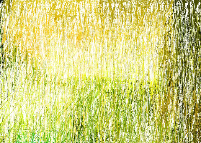 colorful stroke lines