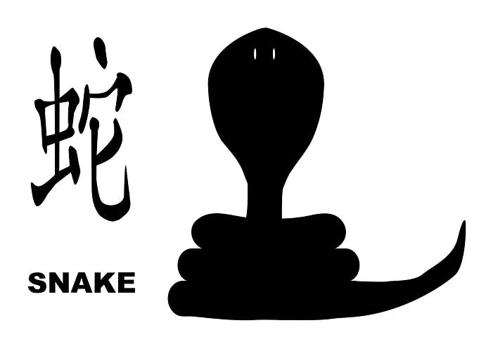 Chinese Year Of The Snake