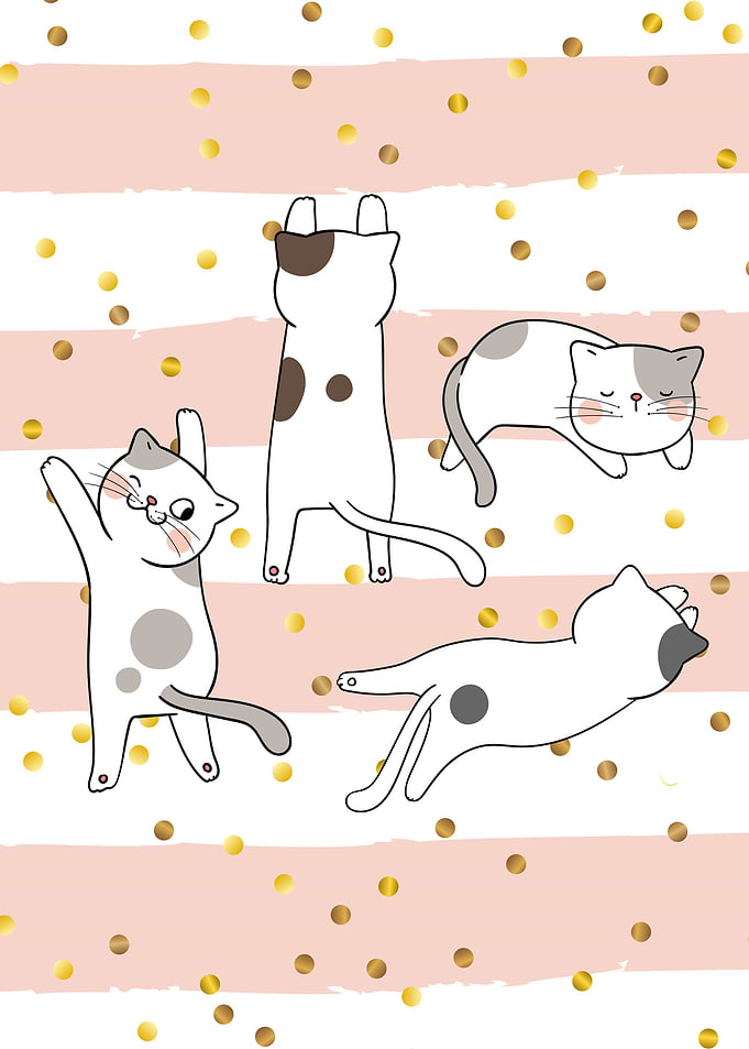 Cats