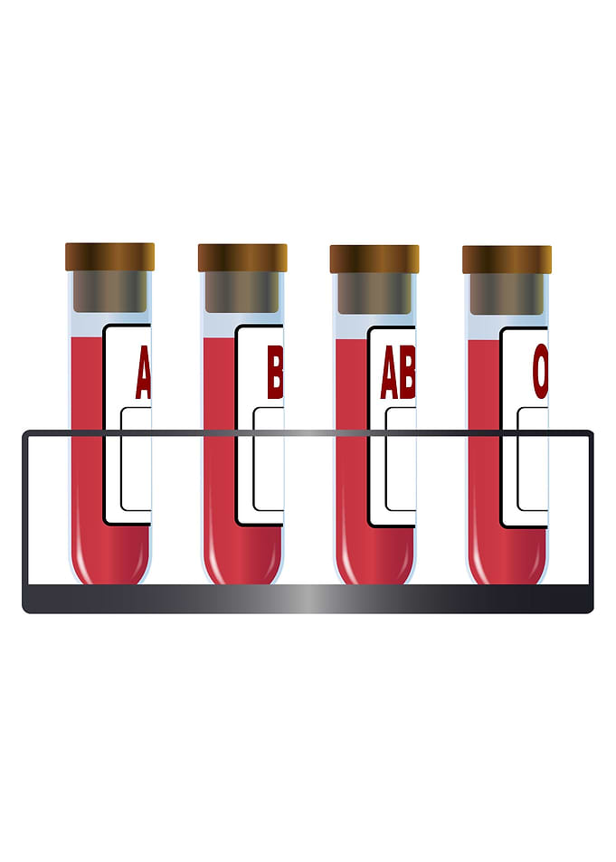 Blood Group Samples