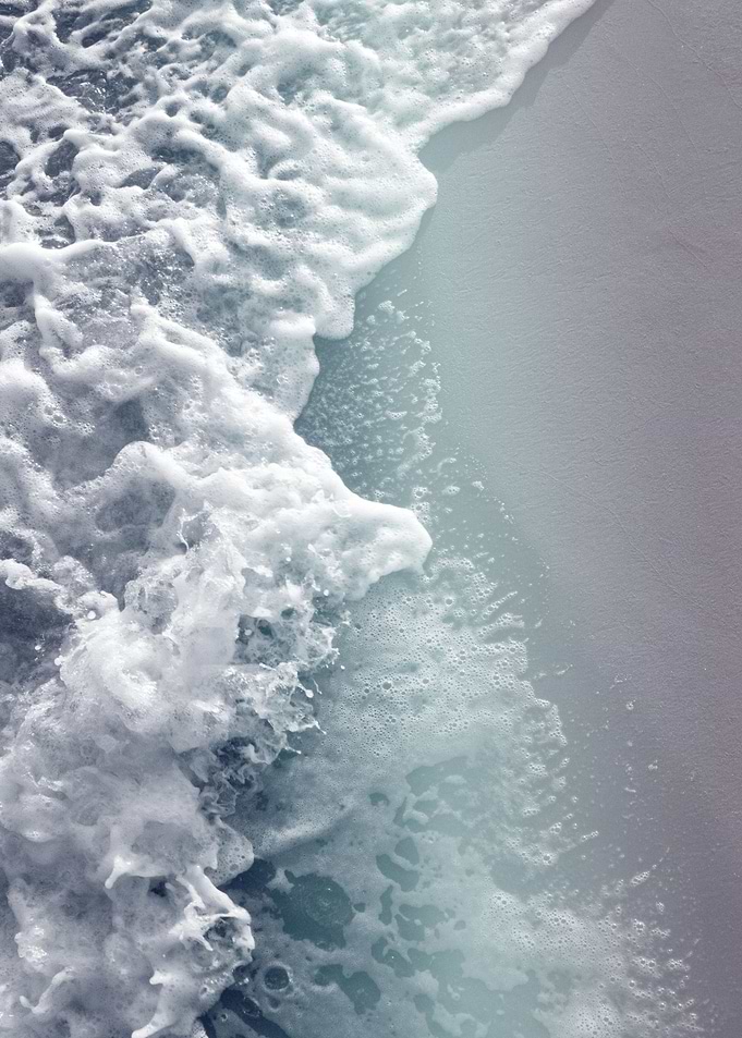 Ocean Beauty 4