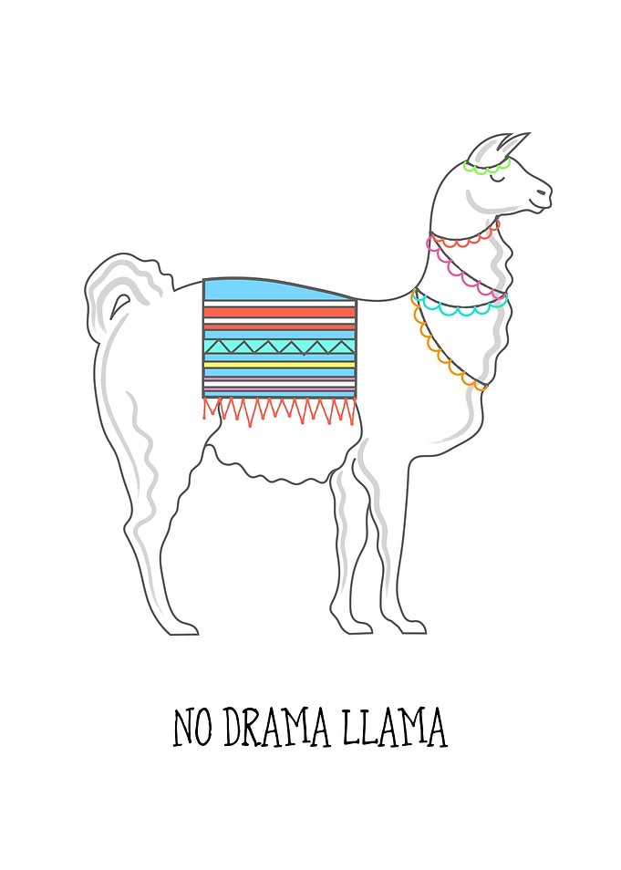 No Drama Llama