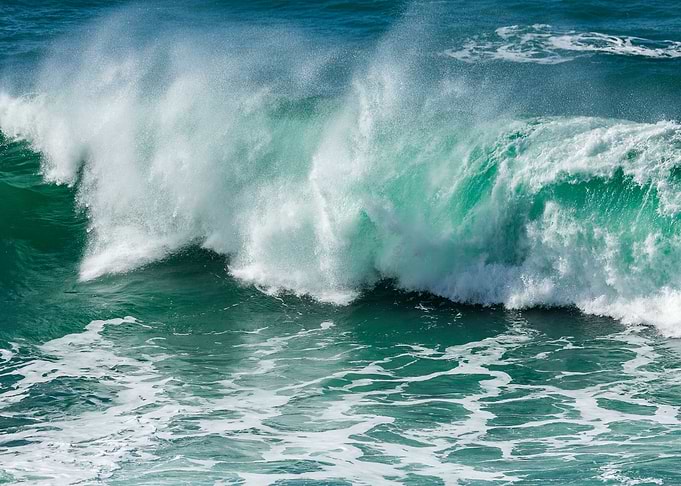 Surf Highlights