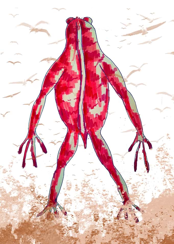 Back sea frog