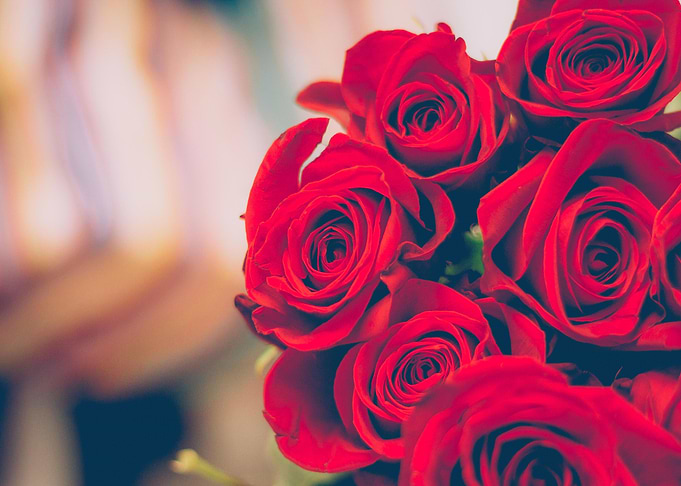 Beautiful Roses