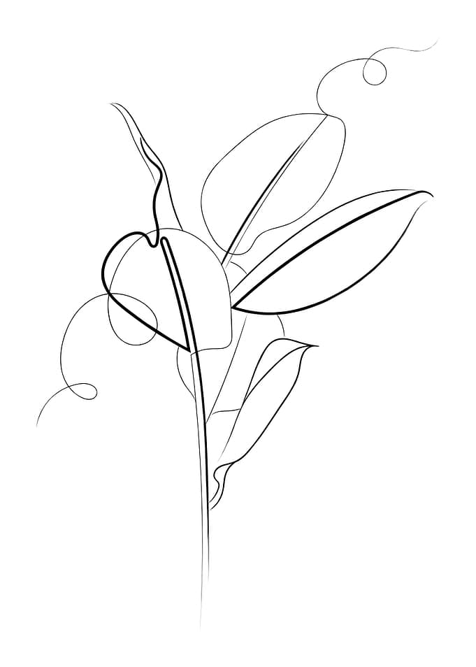 Rubber Plant Line Drawing