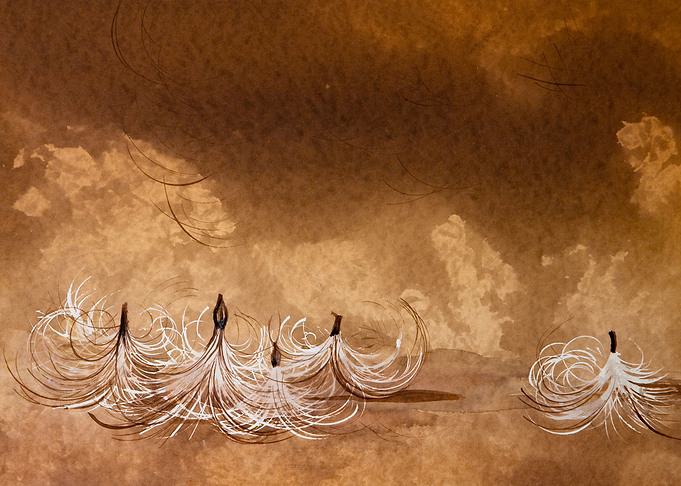 Milkseeds