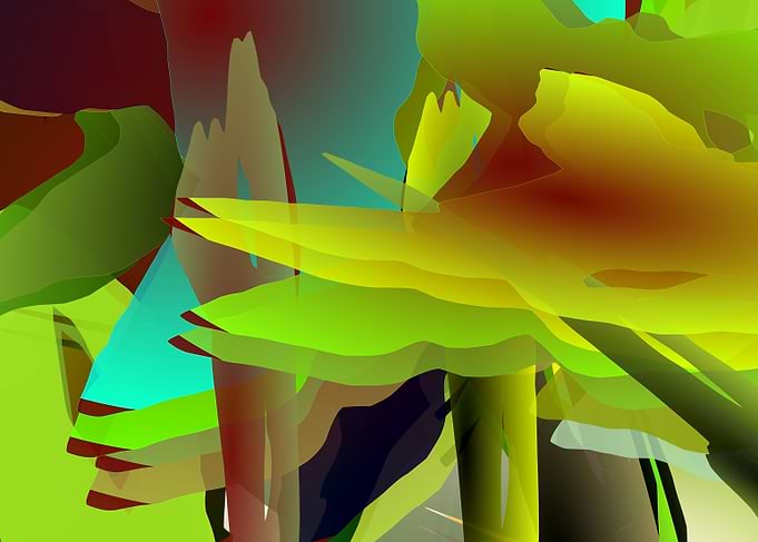 Autumn forest
