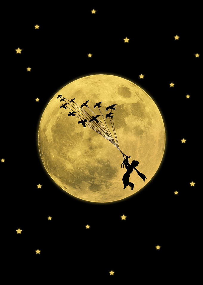 Little prince flying