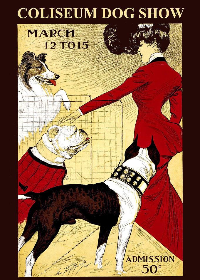 Dog Show