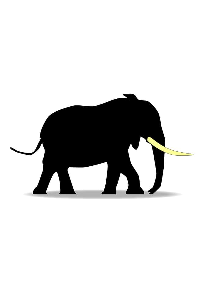 Cartoon Elephant