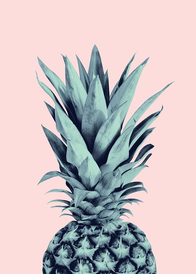 Blush Pineapple Dream 1