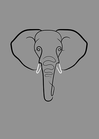 Elephant Portrait