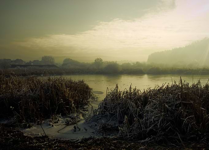 Mist 1