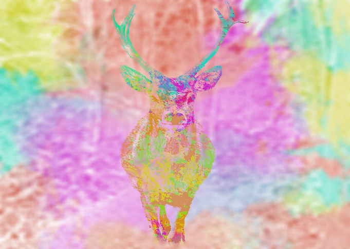 Deer in the forest