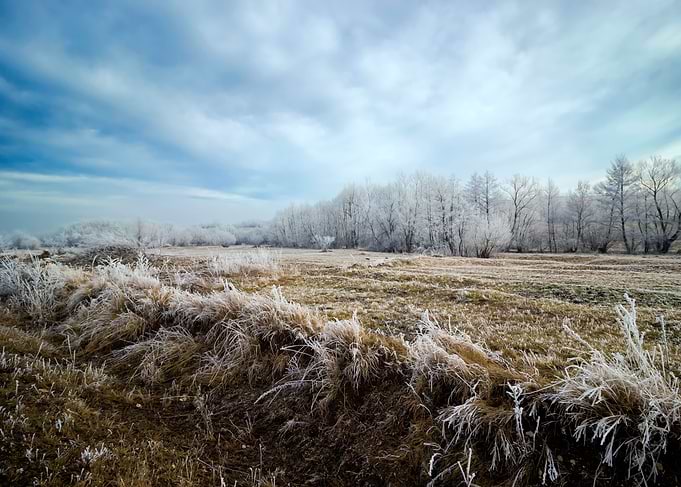 Rime