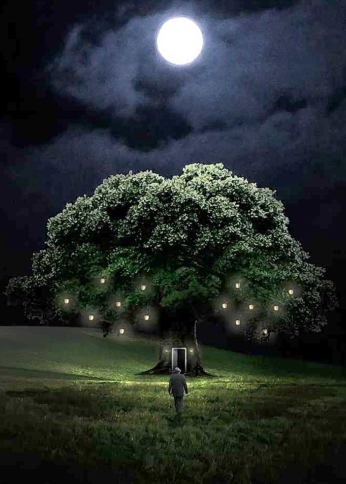 Tree House